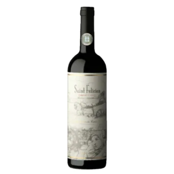 VINHO ARGENTINO SAINT FELICIEN CABERNET FRANC 750 ML
